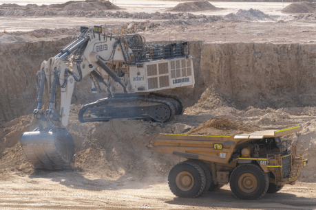 Massive investor will withdraw from Adani over Queensland mine