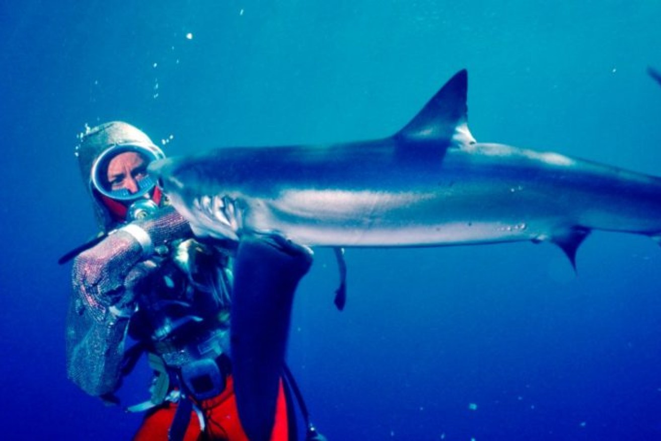 "Valerie Taylor: Playing with Sharks" will feature across cinemas on opening night of the Gold Coast Film Festival. (Image: Ron Taylor)