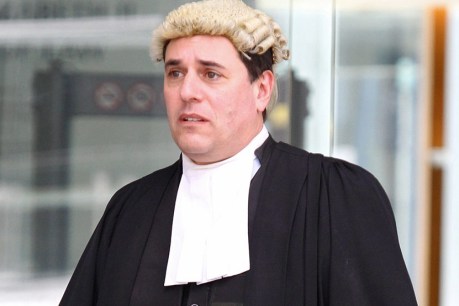 Government backs controversial Qld judge facing lawsuit