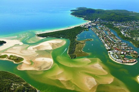 How Noosa might be the canary in the coal mine in battle against overcrowding