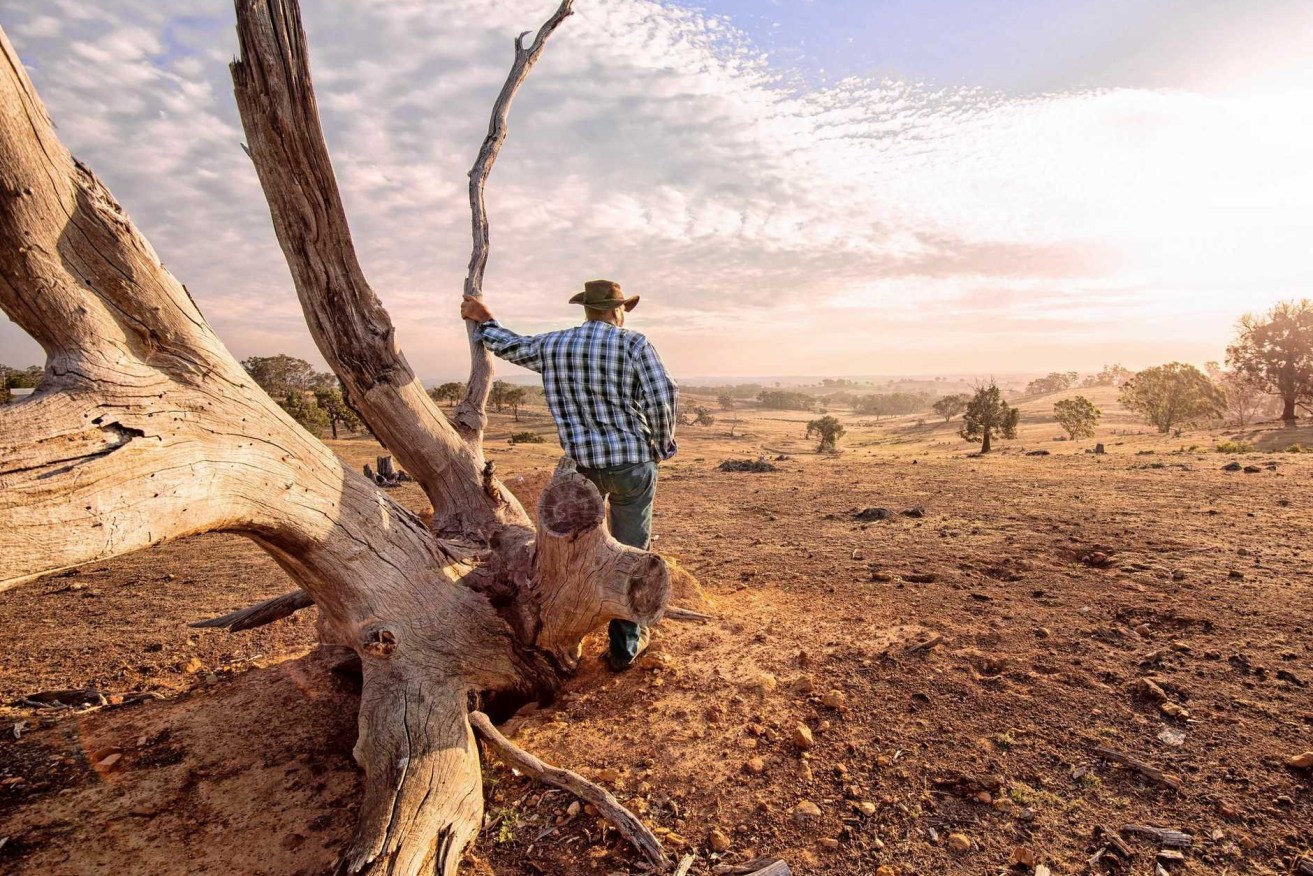 Teenagers are required to help out as their families battle the effects of ongoing drought (Photo: Western Star).