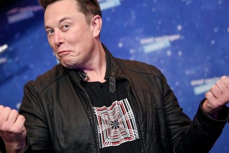 Elon Musk woos Twitter investors with Elvis tune