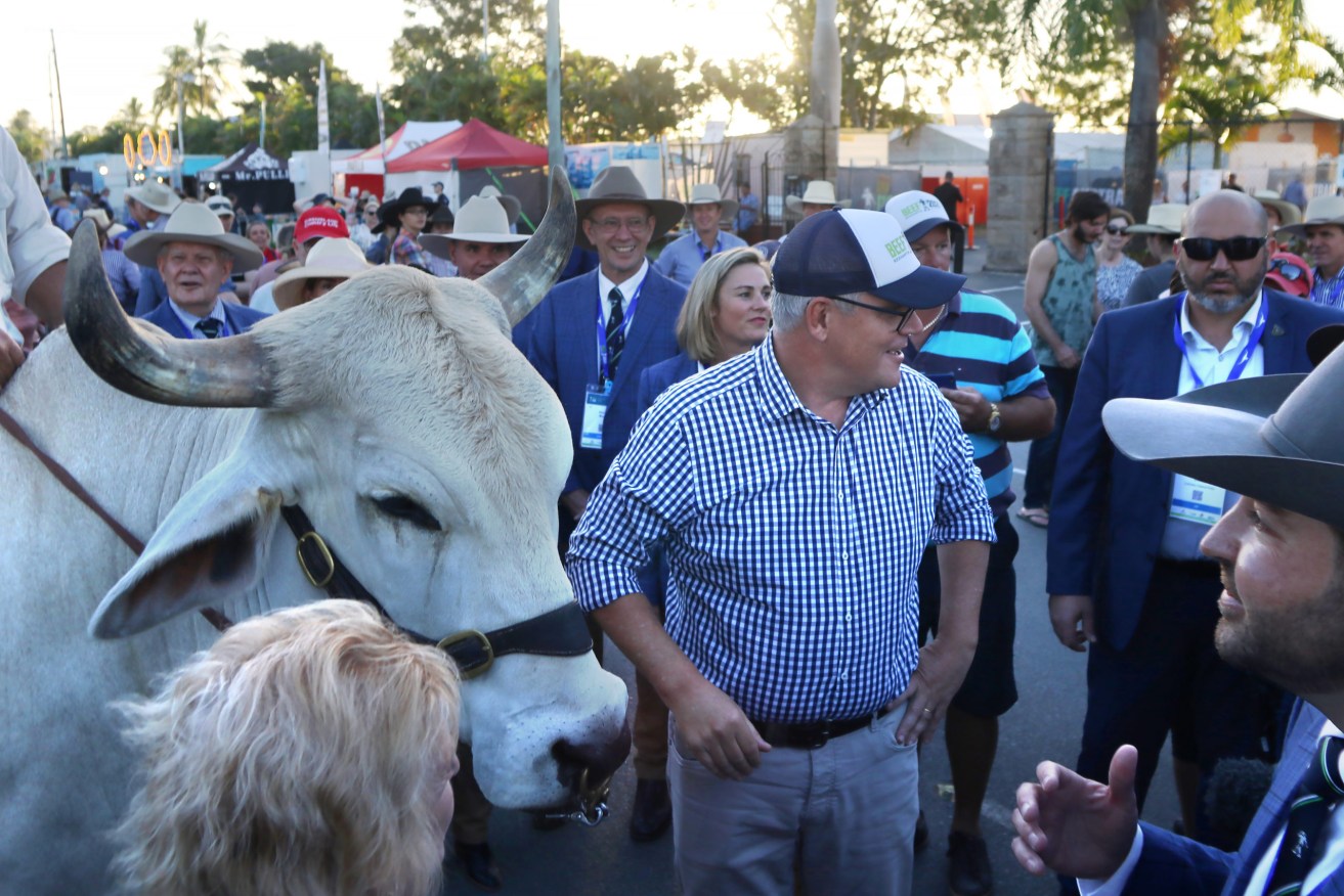 Prime Minister Scott Morrison at the Beef Australia Expo 2021 in Rockhampton on Monday. (AAP Image/Steve Vitt) 