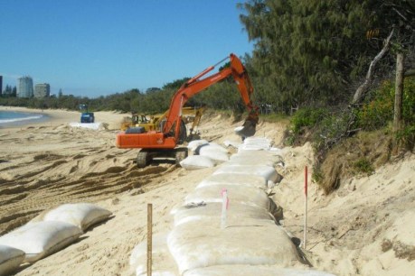 Climate change damage bill $40m a year and rising on Sunshine Coast