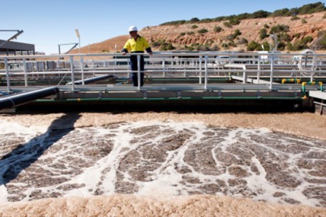 Innovation pipeline: Wastewater surveillance flushed with success