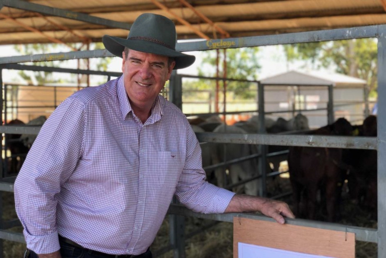 Agriculture Minister Mark Furner pictured at last year's Beef Australia. (ABC photo).