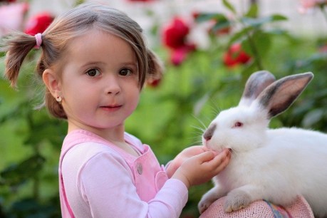 Zoo tax: Cash hungry government turns to bunnies to make money
