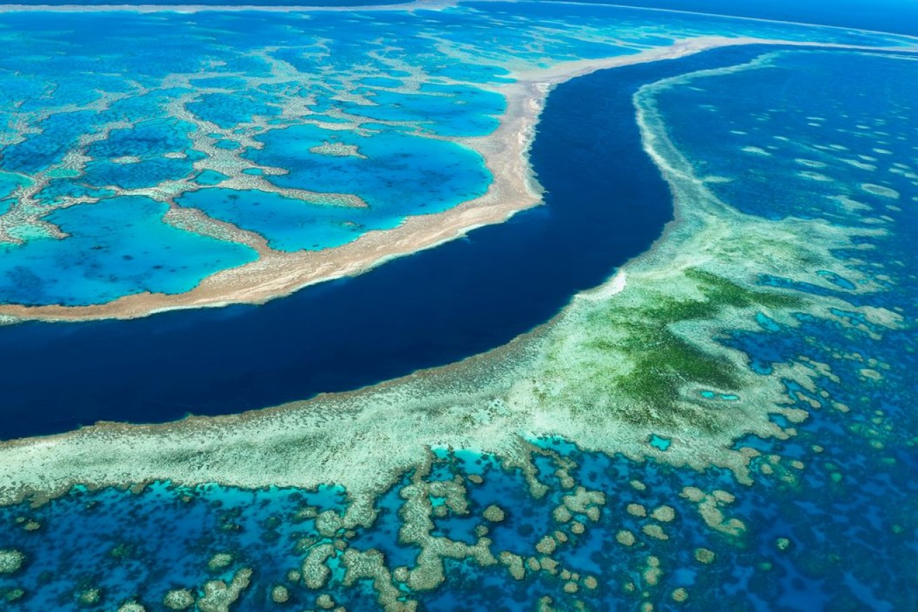 A UN report that the Great Barrier Reef is 'in danger' has been rejected by the federal government. (Photo: Marco Brivio / Photographer's Choic )