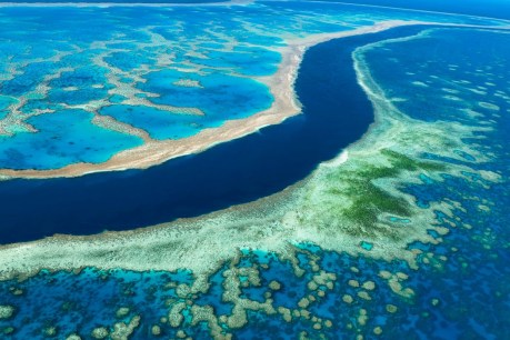 Eye in the sky: UQ’s world-first system brings new view to coral bleaching