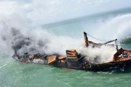 Pandemic leaves Australia vulnerable to major oil spills, govt concedes Reef at risk