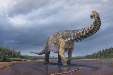 As big as a house: Queensland dinosaur may be world’s biggest