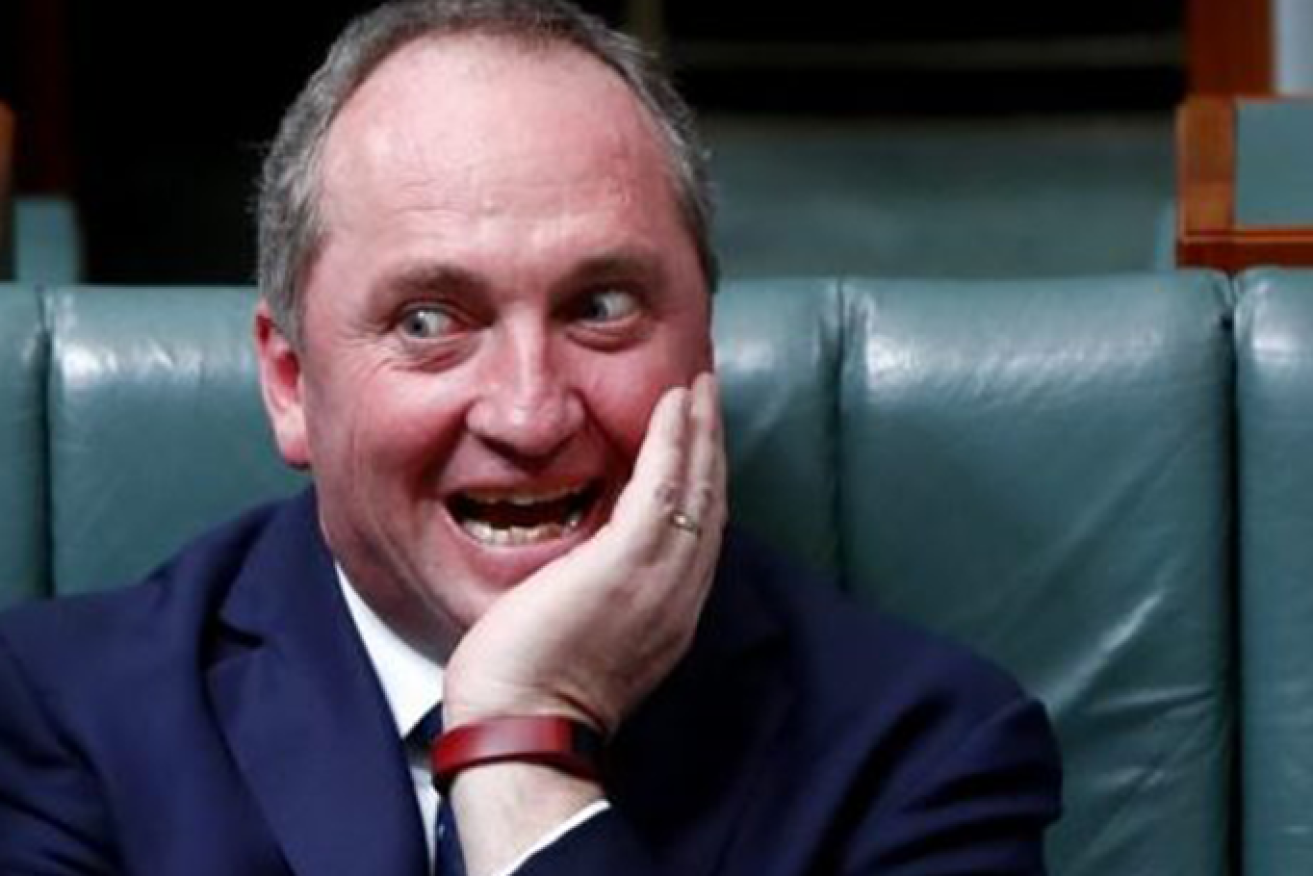 Barnaby Joyce and his National colleagues have secured a long list of concessions over net-zero reductions. (Image: AAP)
