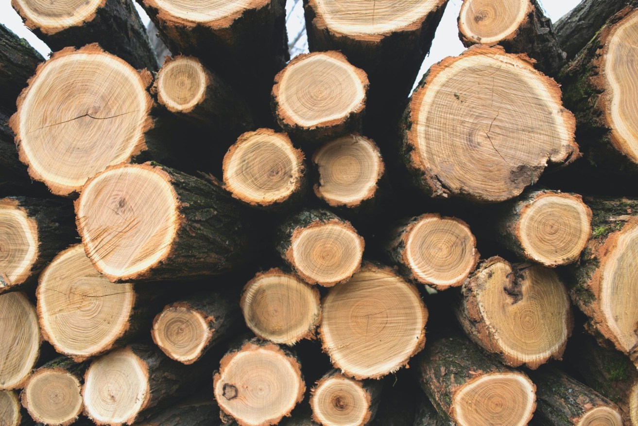 A new timber advisory panel has been assembled to help boost local supply. 