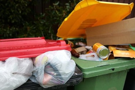 Get ready for a bin tax: Councils fear waste levy pledge to be scrapped