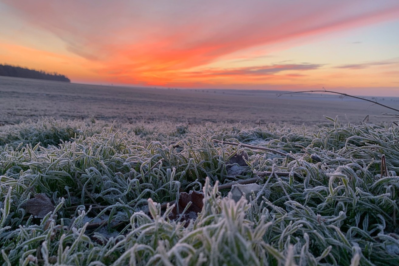 The weather bureau is warning of frosts as far north as the Atherton Tableland. Photo: Unsplash/Ioana Kortis