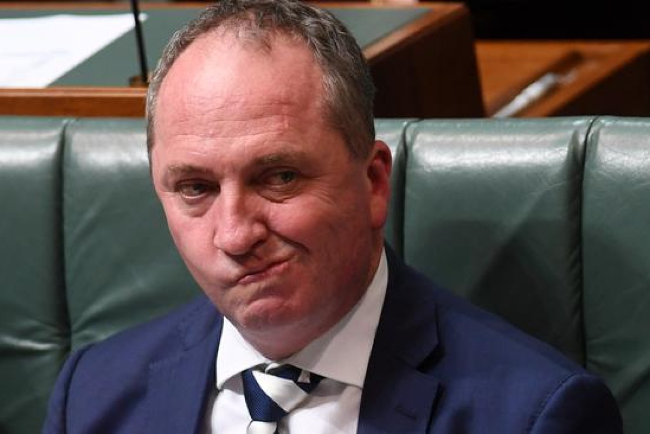 Deputy Prime Minister Barnaby Joyce is campaigning with strong effect in regional seats. (AAP image).
