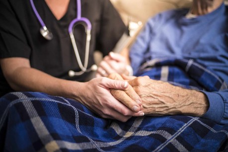 Most patients die without proper palliative care, study reveals