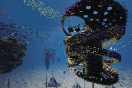 It’s a wonder: Floating reef sets claim to be Gold Coast’s latest visitor attraction