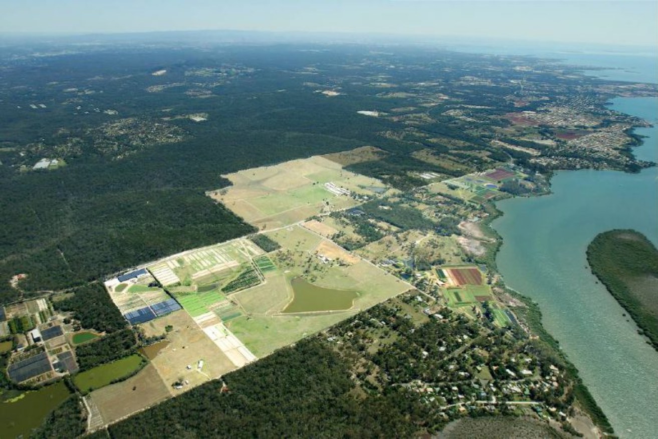 An aerial view of the site of Lendlease's Shoreline development in Redlands. Supplied image.