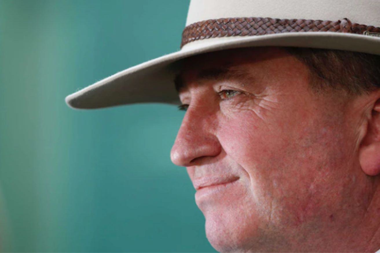 Barnaby Joyce has given the LNP a focal point in central Queensland. (Image: ABC).