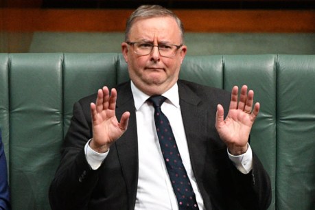 Who is Anthony Albanese? With an election looming many voters are still waiting to find out