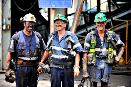Flannery backs coal’s resurgence as Bowen plans transformation