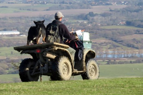 New quad bike laws aim to arrest shocking safety record