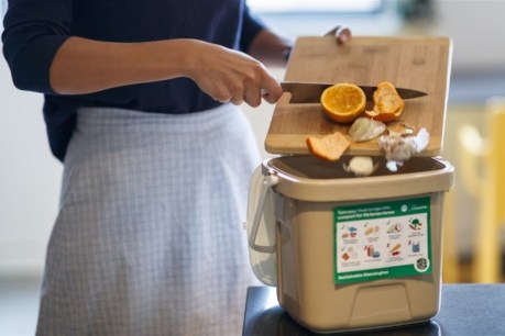 FOGO good to go in Lockyer as council targets food waste