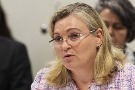 Integrity Commissioner quits, but Premier says it’s ‘not a problem’