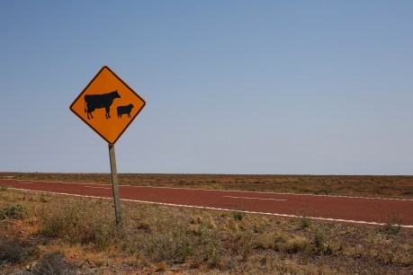 Signs are good, but how long can Qld ag land prices keep increasing?