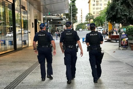 Queensland police keep too many secrets – boundaries needed when seeking data