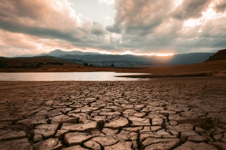 Quick as a flash: Why a new type of drought has put scientists on dry alert