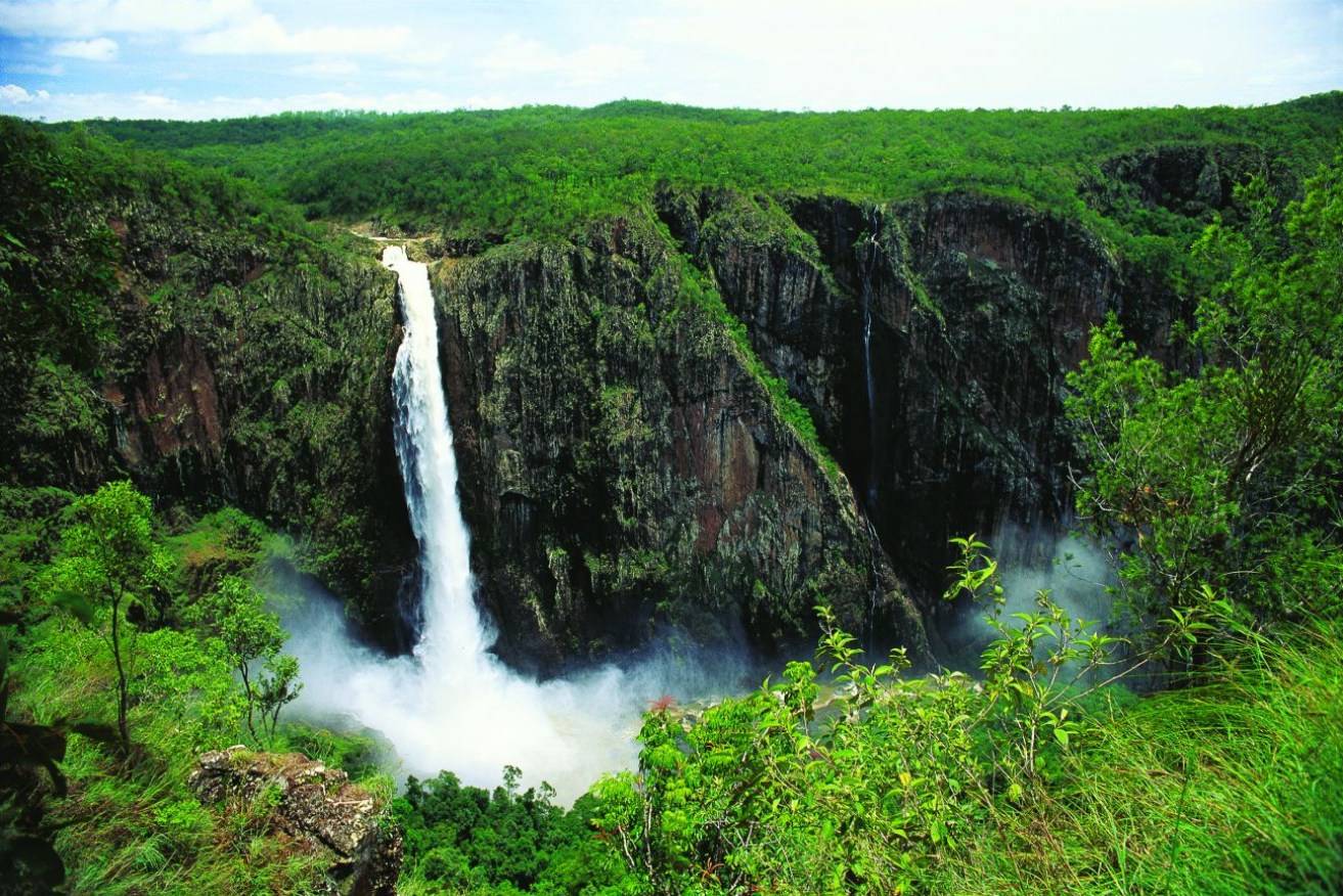 Wallaman Falls in the Girringun National Park. Image: QPWS