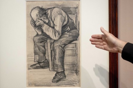 Newly discovered Van Gogh drawing unveiled