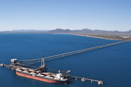 Ratings agency gets jittery over Adani’s Abbot Point debt