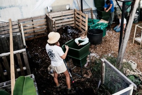 Organic economy gets a wriggle-on from compost industry boom