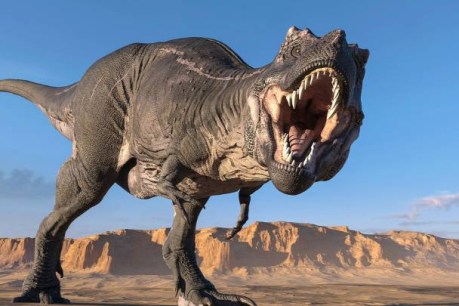 Go fetch, T-Rex: Researchers find dinosaurs wagged their tails