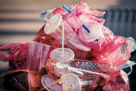Today’s the final straw: Queensland’s ban on single-use plastics begins