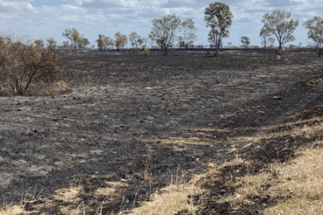 Pair charged after alleged fireworks prank sparked bushfire