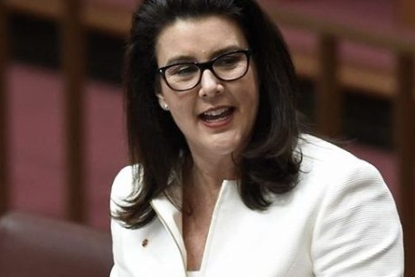 ‘He’s no bully’: Liberal women scramble to rally behind Morrison