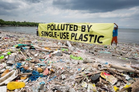The last straw: Despite bans on single-use plastics, we’re making more than ever