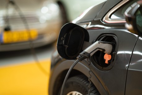 Catching on: Half of Aussie car buyers expect to go electric in 10 years