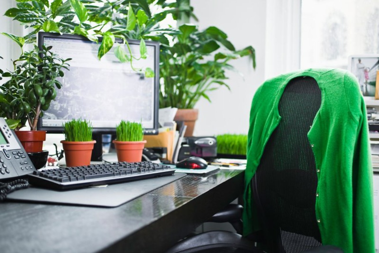 Green thumbs are taking over to bring a whole new, fresh vibe to the office. (file image)