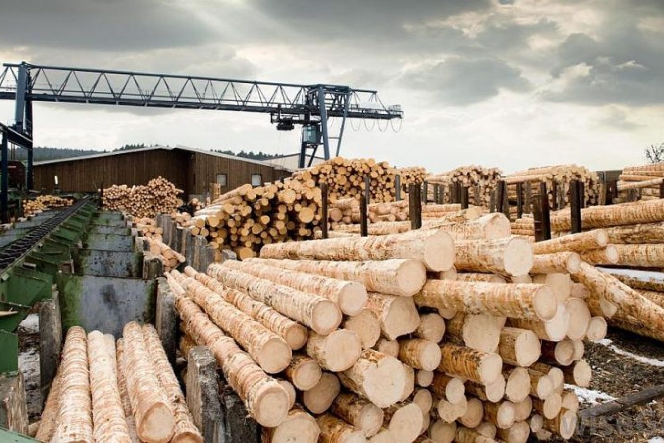 Hyne Timber near Maryborough has developed, in partnership with the University of Queensland, new technology that may help tackle Australia's timber shortage (File image).