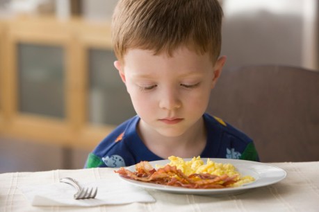 No link between fussy eating habits and autism, Qld study finds
