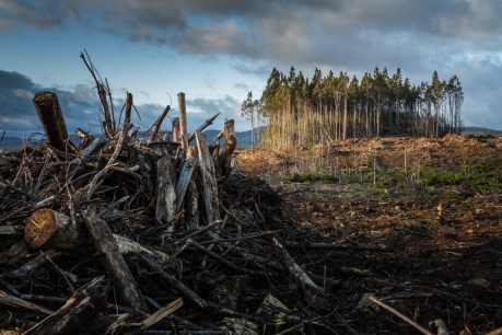 University experts explain why COP26 fell so far short of expectations