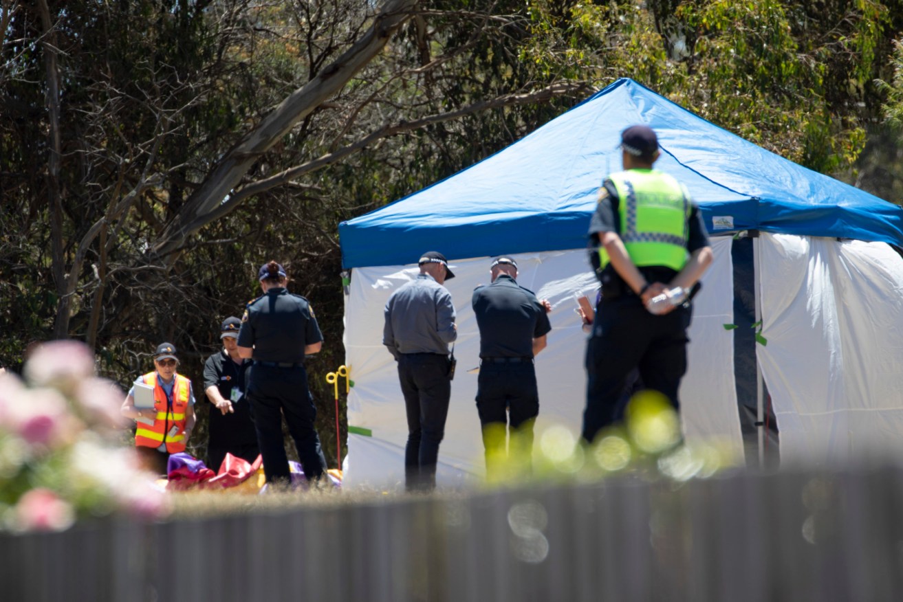  Several children have suffered serious injuries in northwest Tasmania after falling about 10 metres from a jumping castle that was blown into the air. (AAP Image/Grant Wells)