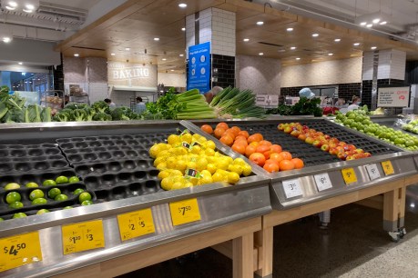 New contact rules aim to put fruit, veges back on shelves this week