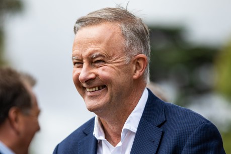 On FM radio blitz, Albo blows up at claims of ‘botox glow-up’