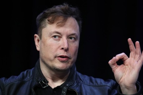 AI will be ‘smarter than the smartest human’ within next two years, says Musk